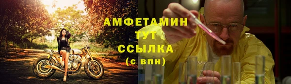 стафф Аркадак