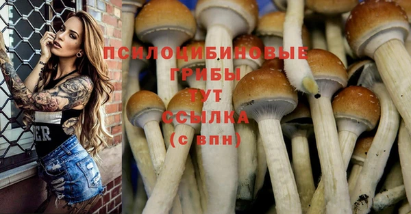 гидропоника Арсеньев