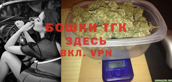 стафф Аркадак