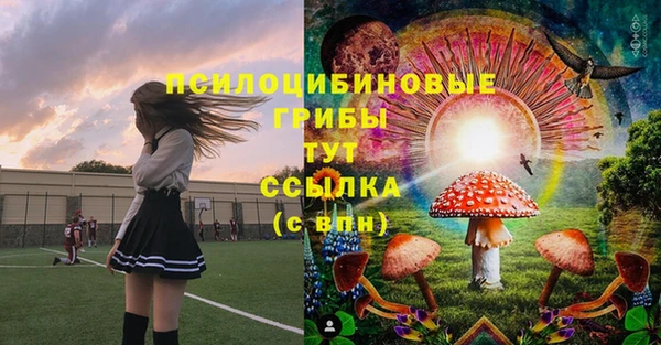 стафф Аркадак